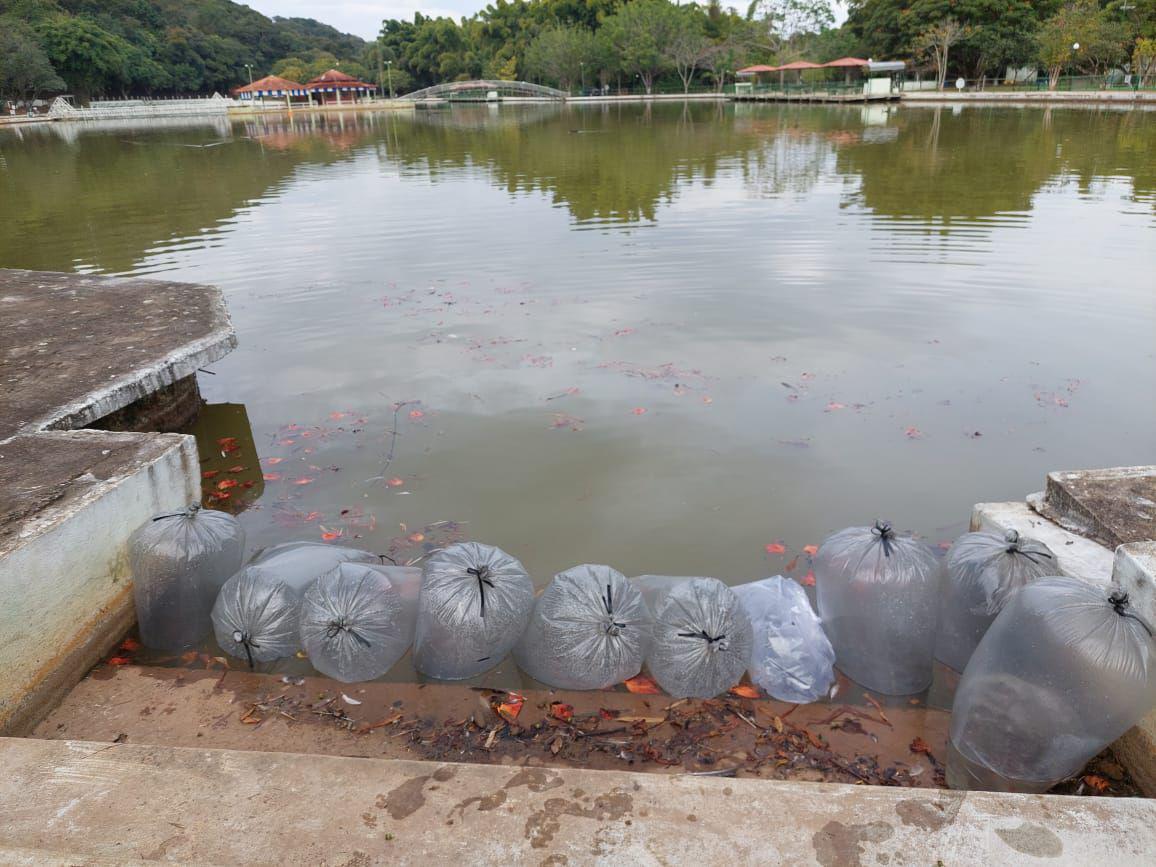 Foto Piscicultura Vale do Mantiqueira